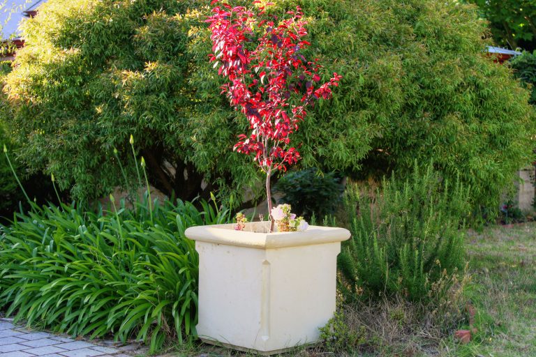 Concrete garden pots & planters in Perth, WA